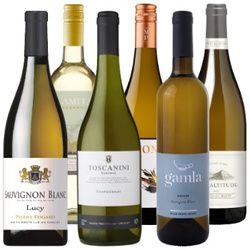 Olimpiada szczepów - Sauvignon blanc vs chardonnay